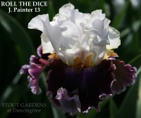 /album/a42/roll-the-dice-john-painter-2013-jpg/